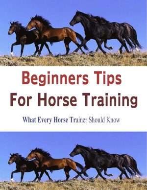 BEGINNERS TIPS FOR HORSE TRAINING: What Every Horse Trainer Should Know